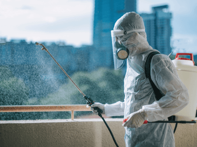 About Firewheel Mice Removal - mice removal experts in Firewheel